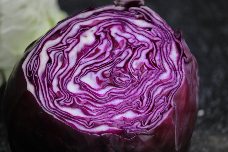 Read more about the article Asian Red Cabbage Slaw