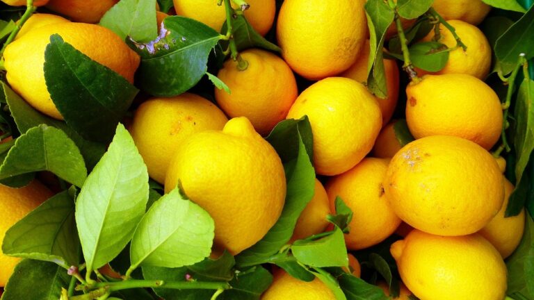 Read more about the article The Best Lemon Dressing (S) You Will Ever Make